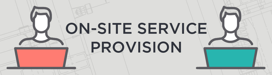 On-site service provision delivery model